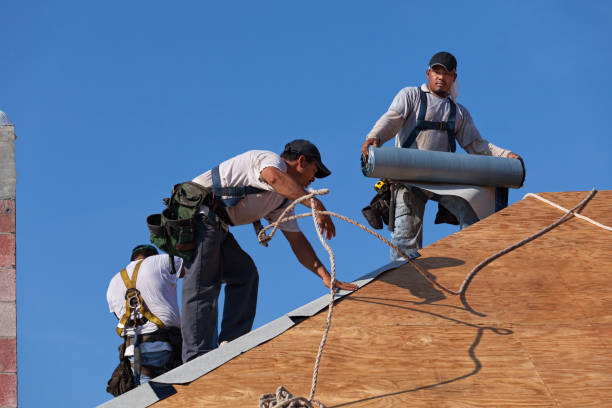 Best Gutter Installation and Roofing  in West Union, OH