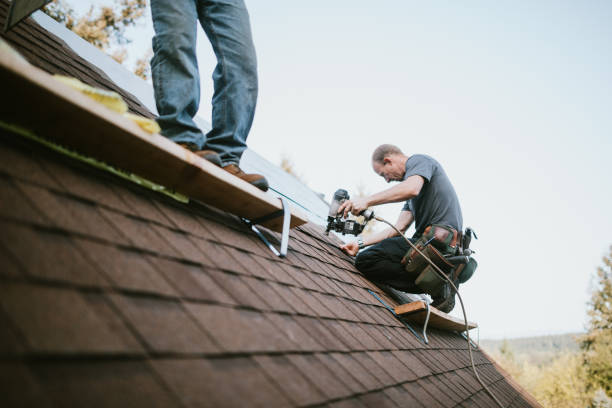 Best Roof Waterproofing Services  in West Union, OH